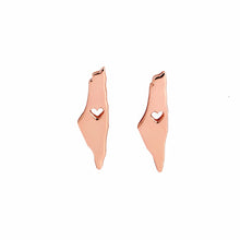 10pcs Wholesale Simple Israel Map Earrings Israel Jewelry Earrings for Women Party Gifts E127